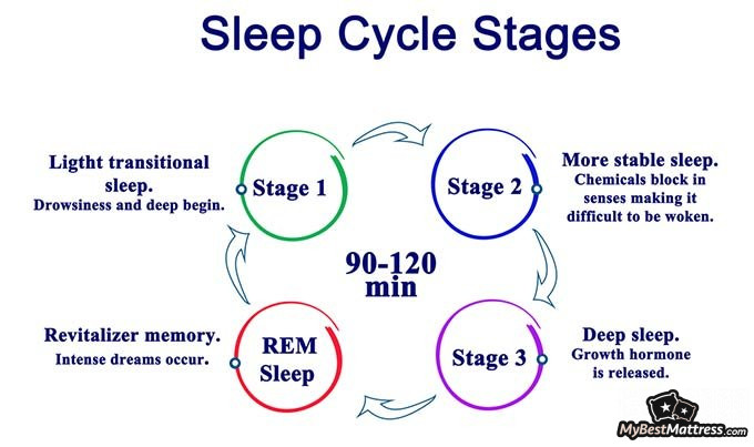 Aging and Sleep: Excessive Sleep, Insomnia & Sleep Aids for Elderly